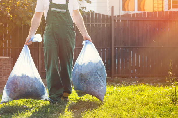Best Shed Removal  in Otsego, MN